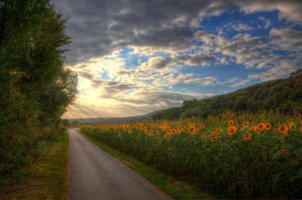 Sonnenlicht, Landschaft, Sonnenuntergang, Hügel, Natur, Wasser