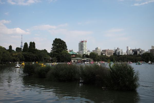 barco,mar,Paisaje urbano,lago,agua,reflexión