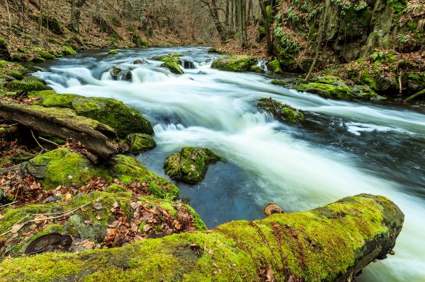 paesaggio, foresta, cascata, acqua, roccia, natura