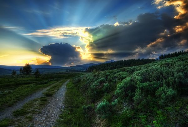 sollys, trær, landskap, skog, fjellene, fargerik