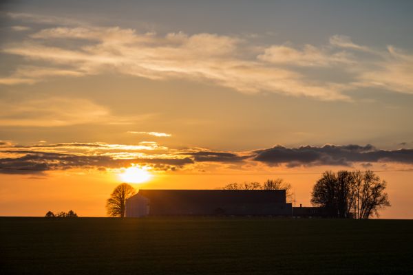 luce del sole,paesaggio,tramonto,mare,cielo,Alba