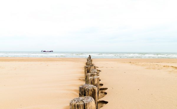 海,湾,支撑,砂,海滩,海岸