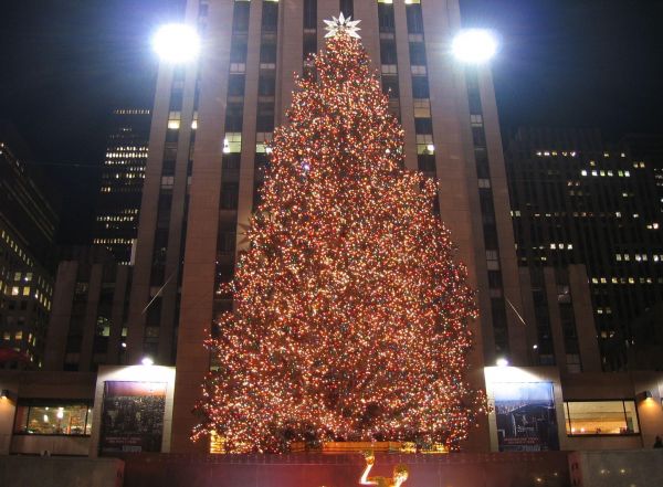 tree,large,garland,lights,street,building