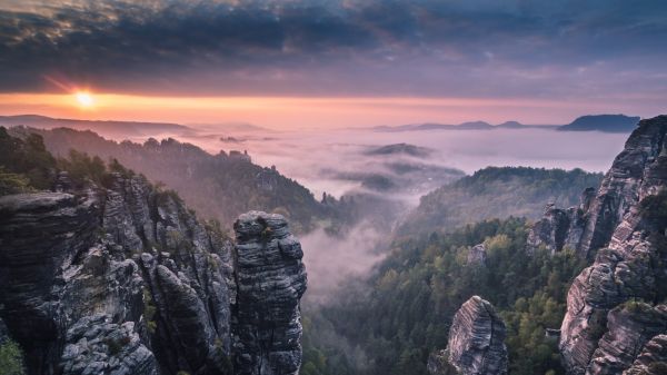 paesaggio,foresta,tramonto,roccia,natura,Alba