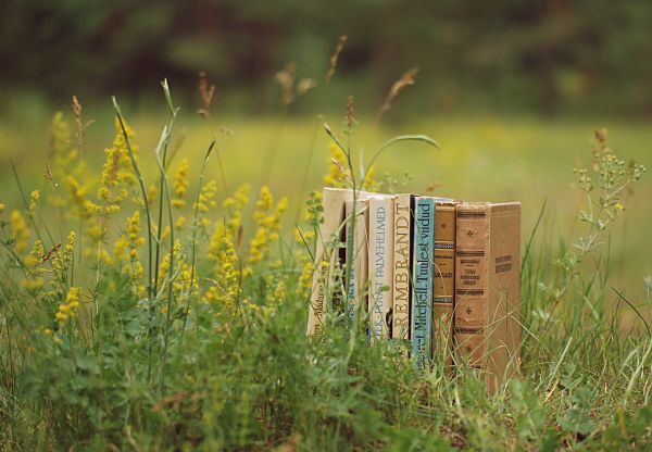 stack,books,grass,mood