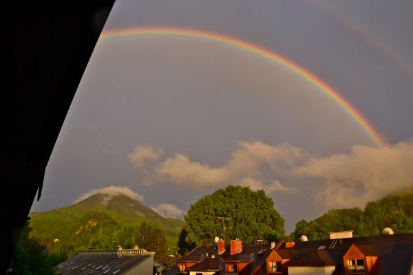 Himmel, Baum, Regenbogen, Wolke, Meteorologisches Phänomen, Atmosphäre der Erde