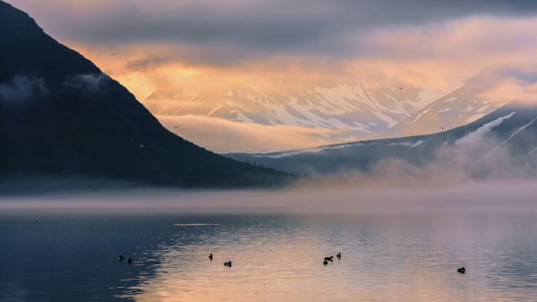 natur,landskab,bjerge,sne,vand,sø