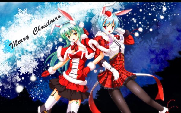 Tier, Aqua, Hase, Bunnygirl, 1680x1050 px, Weihnachten