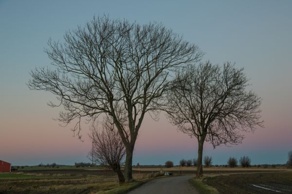 paesaggio,tramonto,collina,natura,cielo,erba