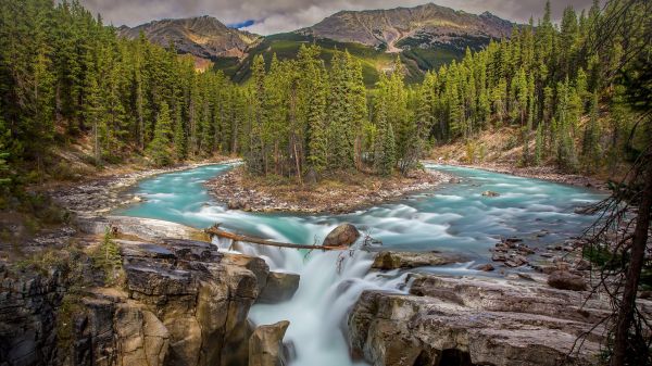 nature, landscape, trees, forest, water, rocks