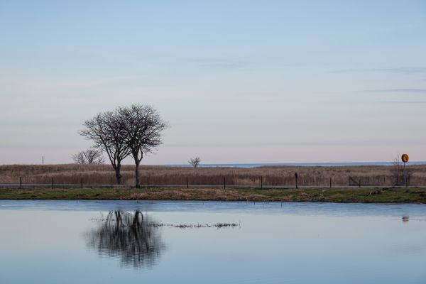 lago,acqua,puntellare,riflessione,inverno,mattina