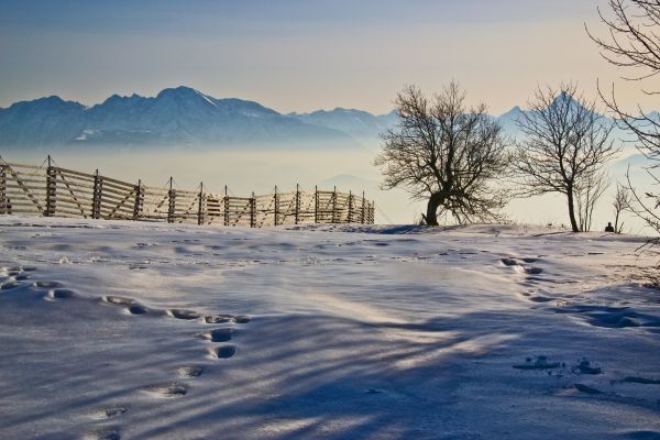 Landschaft, Schnee, Winter, Sonnenlicht, Hügel, Himmel