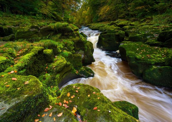 paesaggio, foresta, cascata, acqua, roccia, natura