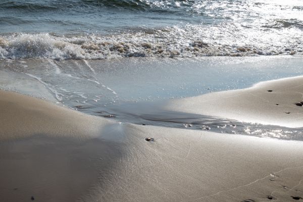 海,水,支撑,砂,海滩,海岸