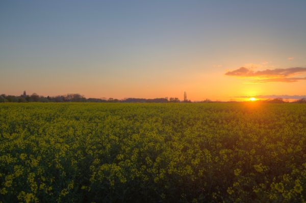 lumière,le coucher du soleil,ciel,des nuages,Canon,Allemagne