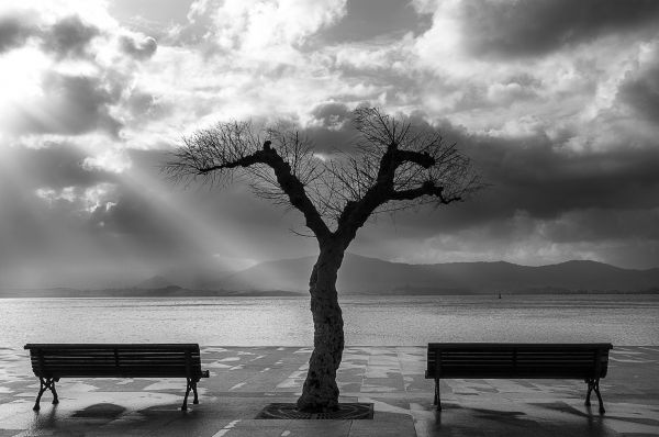 blackandwhite,blancoynegro,sea,byn,bench,mar