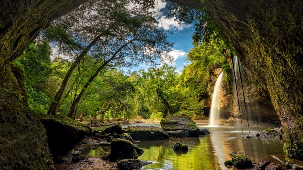 natura,paesaggio,tropicale,alberi,foresta,acqua