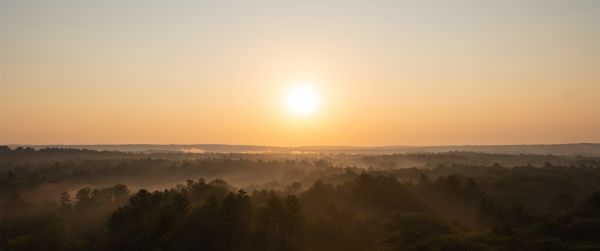 natuur,zonlicht,Zon,landschap