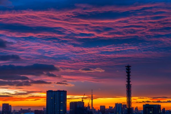 空,日の出,日本,夜明け,東京,曇った