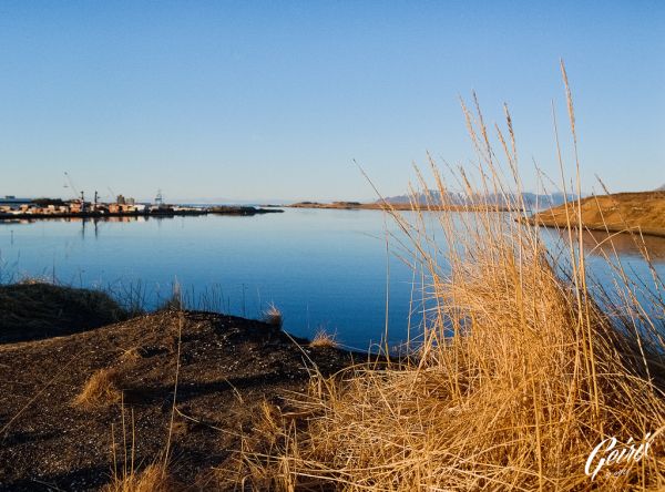 Landschaft,Meer,Wasser,Natur,Ufer,See