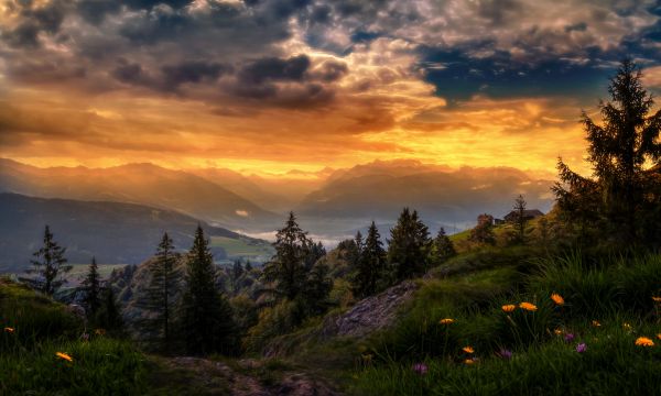 glühen,Landschaft,5616x3370 px,Wolke,Landschaft,Blume