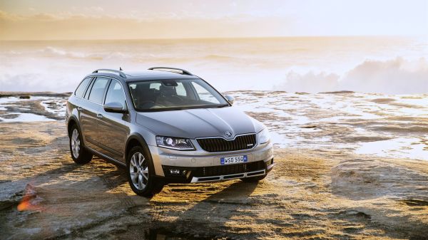 coche,Skoda,naturaleza