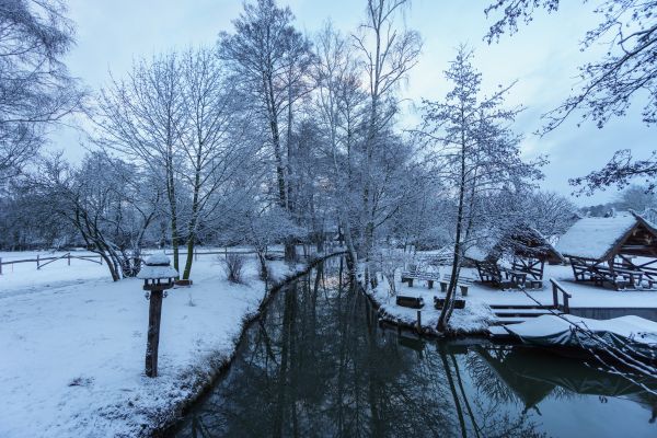 Matthias, Hertwig, Spreewald, Winter, Wasser, Baume