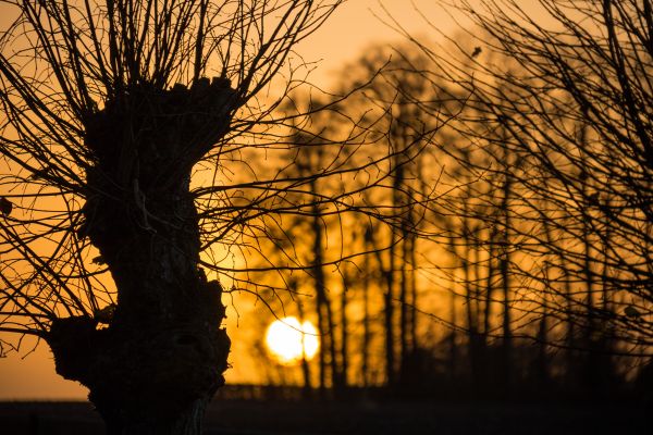 Sonnenlicht, Landschaft, Sonnenuntergang, Nacht-, Natur, Betrachtung