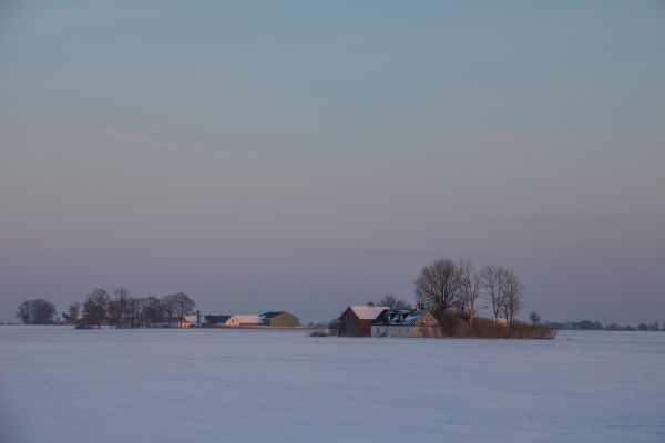 mare,baia,lago,puntellare,inverno,la neve