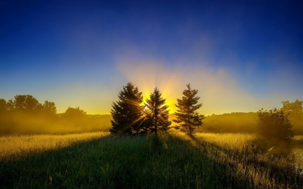 Sonnenlicht, Landschaft, Sonnenuntergang, Hügel, Natur, Gras