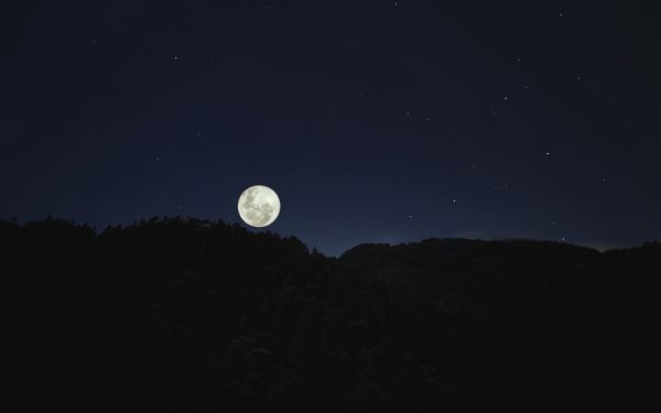 gelap,malam,Bulan,bukit