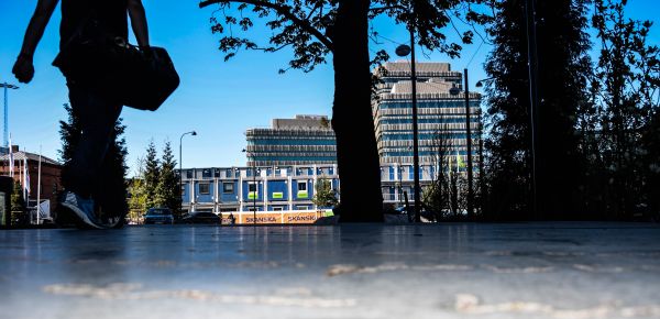 sunlight,trees,people,city,street,cityscape