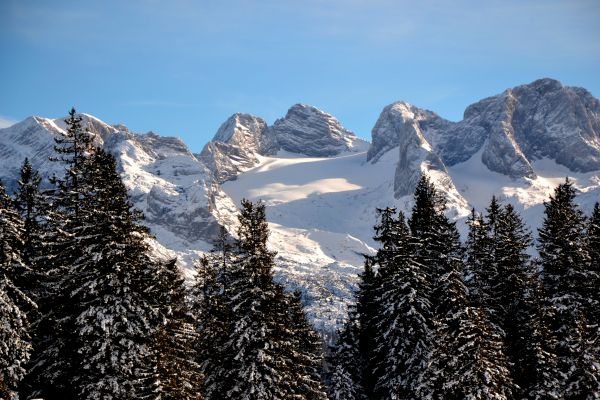 Winter, Schnee, Baum, Bergige landforms, Berg, Gebirge