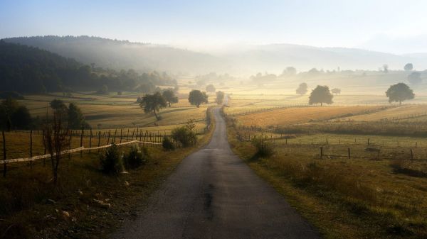 natur,trær,vei,landskap,Bosnia,morgen