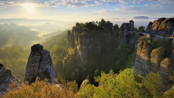 la nature,paysage,des nuages,des arbres,forêt,ciel