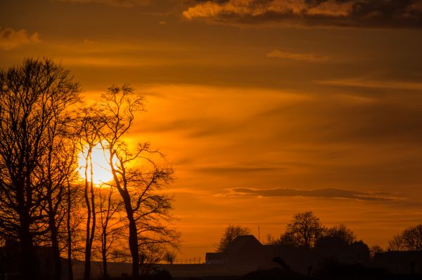 luce del sole,paesaggio,tramonto,natura,cielo,campo