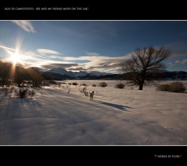 Sonnenlicht,Landschaft,Hügel,Himmel,Schnee,Winter