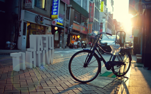 ciudad,Paisaje urbano,bosque,calle,noche,bicicleta