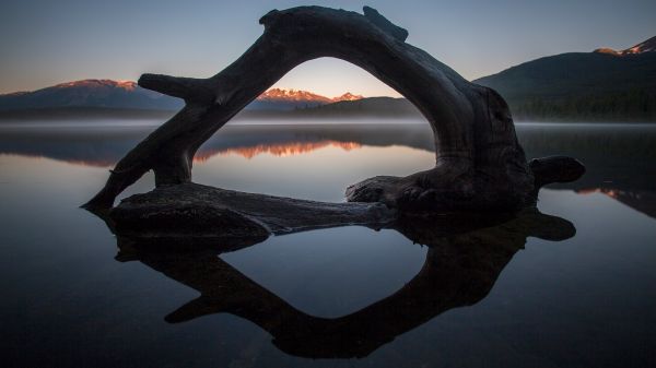 natur, landskap, vatten, reflexion, bergen, drivved