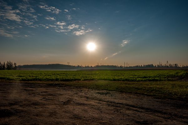 sollys, træer, landskab, Skov, efterår, mad