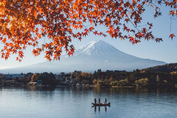 風景,秋,日本