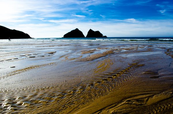 Schule,Meer,Seelandschaft,Strand,Landschaft,Küste