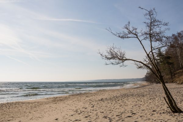 luce del sole,mare,puntellare,sabbia,cielo,spiaggia