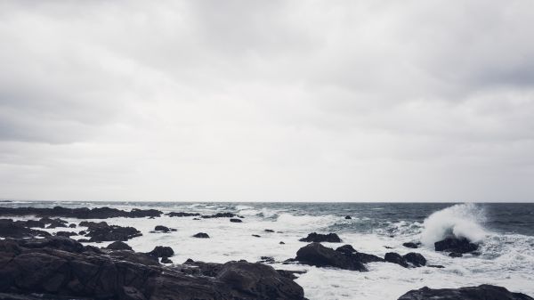 海,海岸,白色