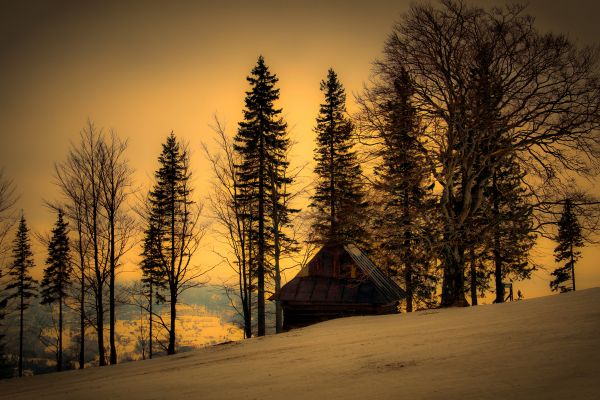 Sonnenlicht, Landschaft, Sonnenuntergang, Nacht-, Natur, Betrachtung