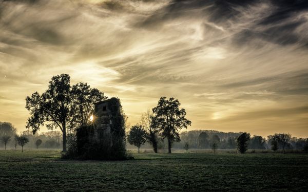 zonlicht, bomen, landschap, monochroom, zonsondergang, Italië