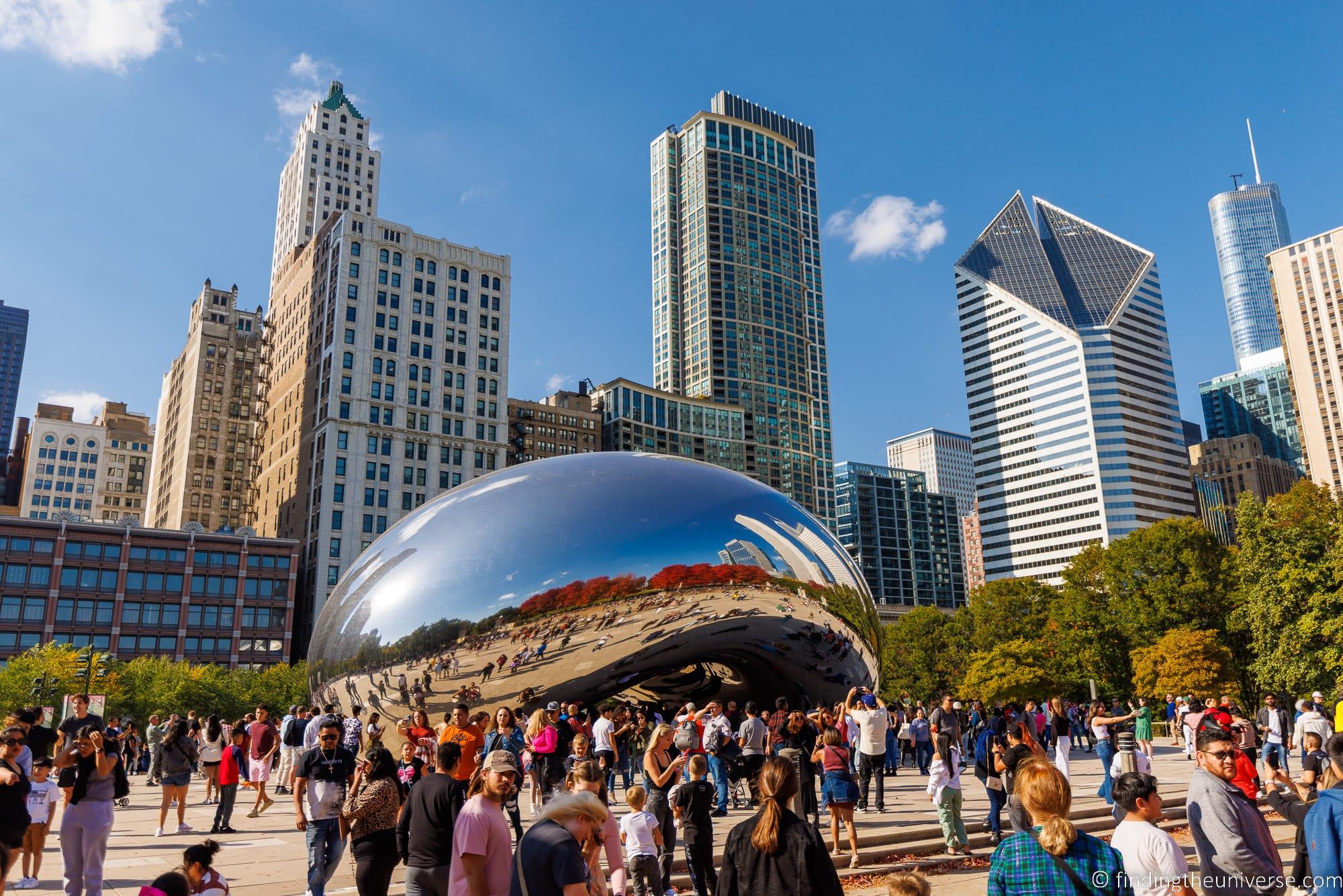 Crowded Bean Chicago