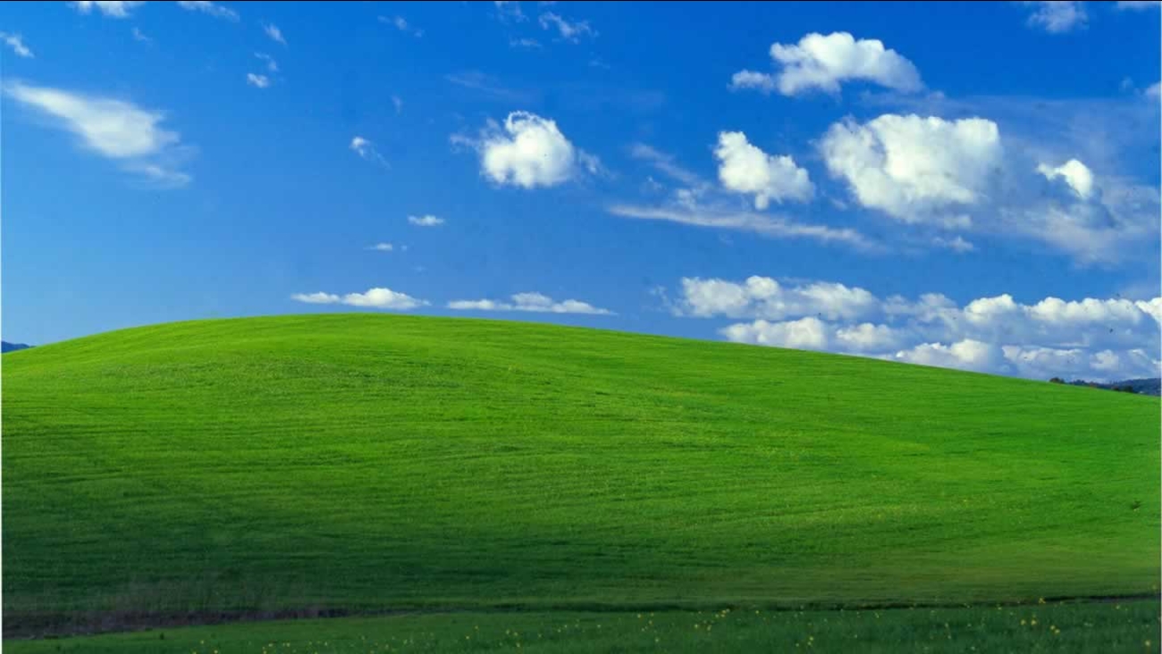 Relive the nostalgia of Windows xp green field background In various ...