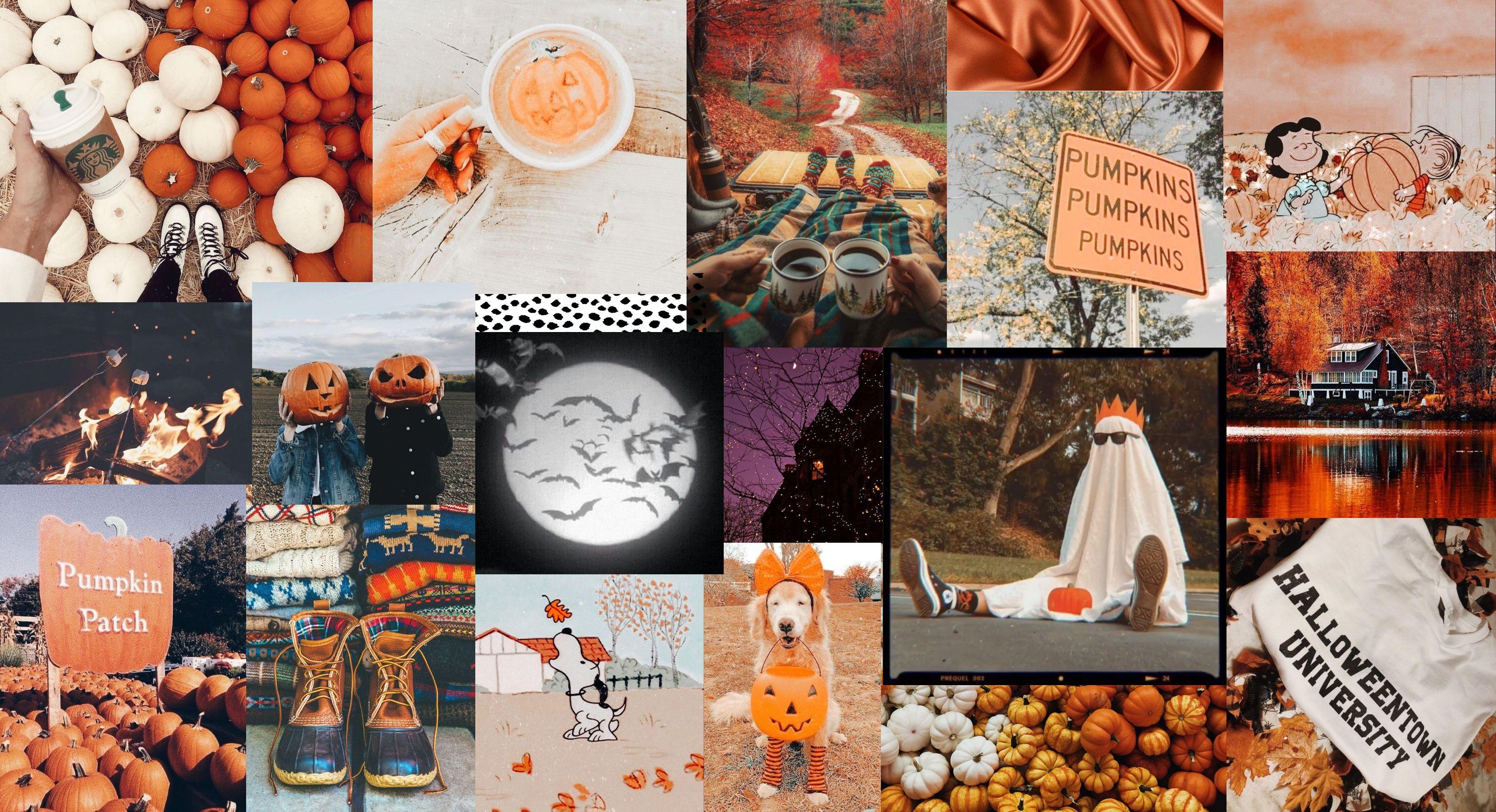 Free download spooky desktop wallpaper Halloween desktop wallpaper Cute ...