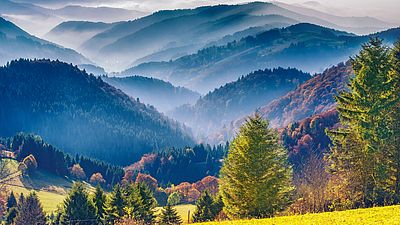 Malerische Berglandschaft. Blick auf den Schwarzwald in Deutschland, in Nebel gehüllt.